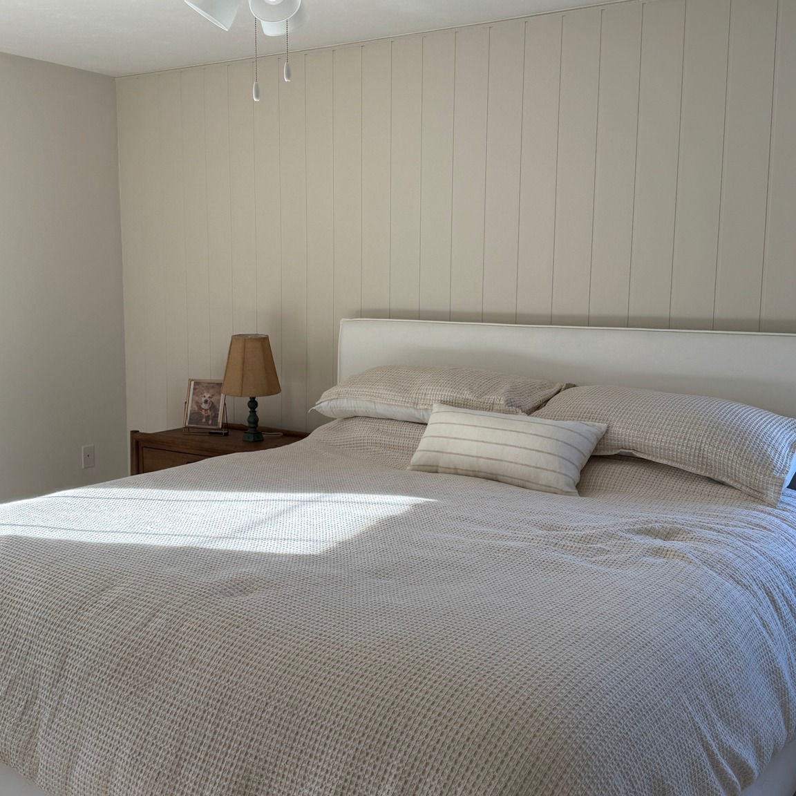 Interior House And Cabinet Painting (8)